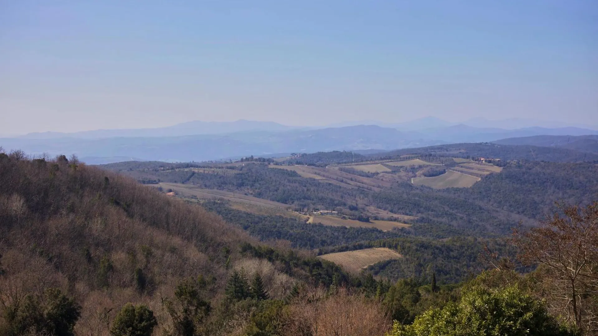 Al Brunello Montalcino